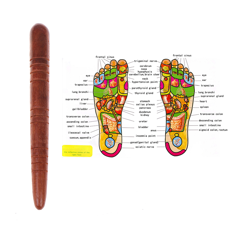 Spa Y Wellness - สปาเท้าไม้กายภาพบําบัดนวดกดจุดนวดเท้าไทยสุขภาพแผนภูมิฟรีนวด Stick เครื่องมือ
